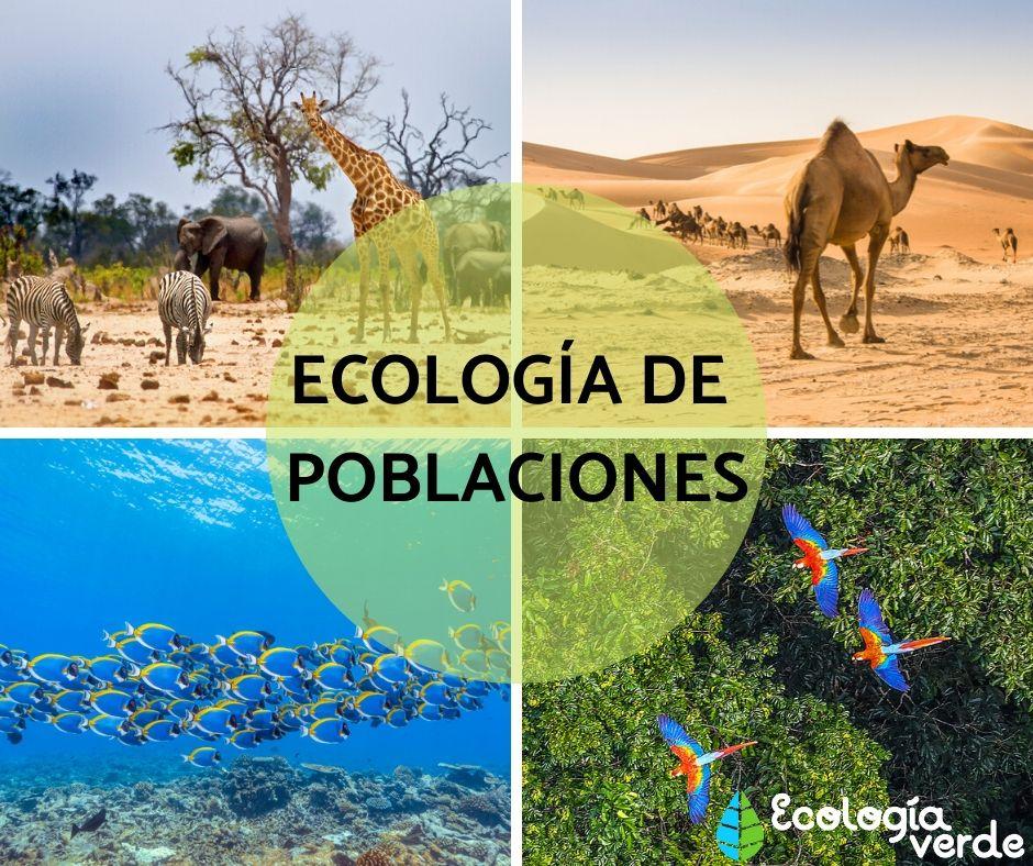 Ecología de Poblaciones